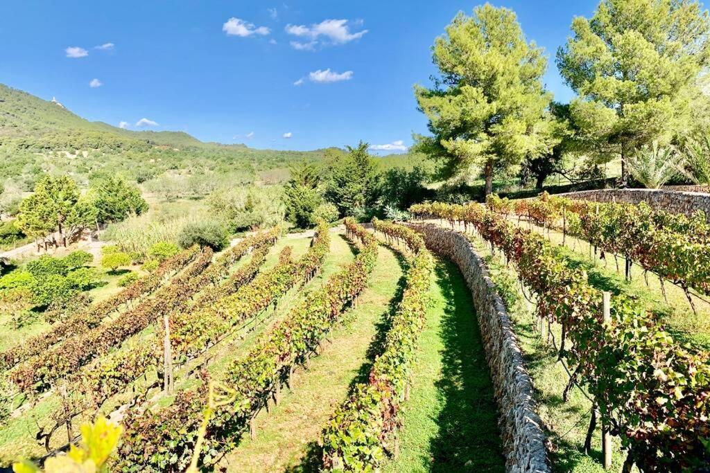 Es Castell De Ca N'Alou De Ses Cases Noves S'Horta ภายนอก รูปภาพ