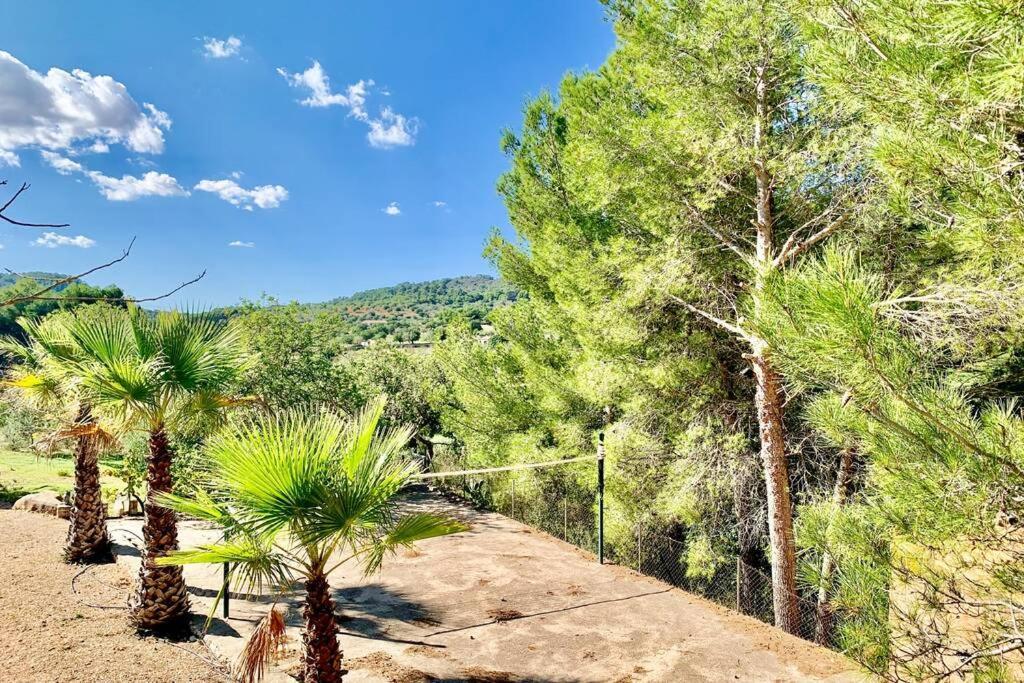 Es Castell De Ca N'Alou De Ses Cases Noves S'Horta ภายนอก รูปภาพ